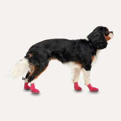 Goo-eez Dog Boots Lites 4 Per Pack XS Rood/Zwart