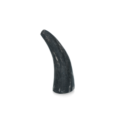 Viking Horn Whole S