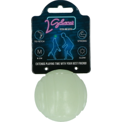 2 Glow Fetch & Play