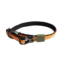AFP Off Street - Dog Collar Mandarijn S