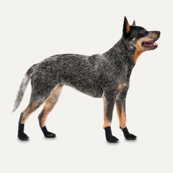 Goo-eez Dog Boots Lites 4 Per Pack XS Zwart