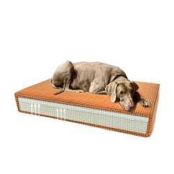 Madison Orthopedisch Kussen Velvet Oranje S