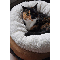 AFP Lambswool - Donut Bed Beige