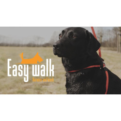 Easy Walk Schoudermodel Rood - Mini