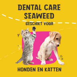 Dental Care Seaweed 150 g