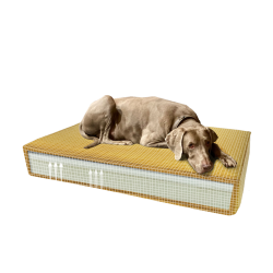 Madison Orthopedisch Kussen Velvet Geel S