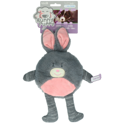 Bunny Puppy Flat Rabbit