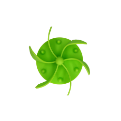 Eat Slow Live Longer Gobble Stopper Groen S