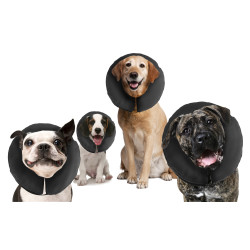 Zenpet ProCollar M